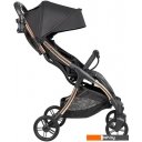 Детские коляски и аксессуары Farfello Sunrise FS-002 (черный/золото)