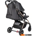 Детские коляски и аксессуары Farfello Sunrise FS-002 (черный/золото)