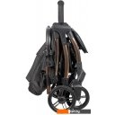 Детские коляски и аксессуары Farfello Sunrise FS-002 (черный/золото)
