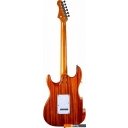Гитары Jet JS-600 BS