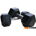 Гантели, гири, штанги DFC DB001-2 2x2 кг