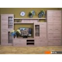 Полки, стеллажи, системы хранения Anrex Oskar 2NB Дуб Санремо