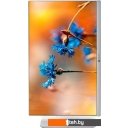 Моноблоки ТЕСЛА P24WP 2416500