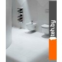 Унитазы Roca Meridian 7346248000