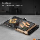 Электрогрили Redmond (Редмонд) SteakMaster GM303 (бронзовый)