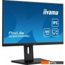 Мониторы Iiyama ProLite XUB2492HSU-B6
