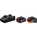 Аккумуляторы и зарядные устройства для инструмента Bosch 1600A019S1 (18В/2x4 Ah + 18-40В)