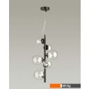 Светильники, люстры, бра, споты Odeon Light Tovi 4818/6