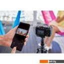 Фотоаппараты Sony FX30 Body