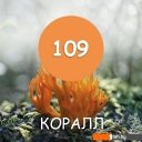 Краски и эмали Super Decor Maxima резиновая 11 кг (№109 Коралл) Краски и эмали Super Decor Maxima резиновая 11 кг (№109 Коралл)