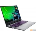 Ноутбуки Machenike L17 Pulsar 2K JJ00GJ00FRU