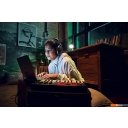 Наушники и гарнитуры Sennheiser HD 400 Pro