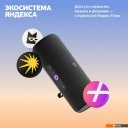 Беспроводные и портативные колонки Яндекс Станция Стрит (черный)
