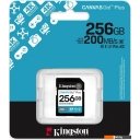 Карты памяти Kingston Canvas Go! Plus SDXC 256GB SDG4/256GB