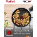 Сковороды Tefal 24 Luminens 04229124