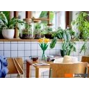 Конструкторы LEGO Creator Expert 40747 Нарциссы