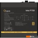 Блоки питания Ocypus Iota P750 Iota-P750-G1FFBK024X-EU