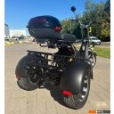 Электросамокаты и электроскутеры Smart Balance X11 Trike 2024 (черный)