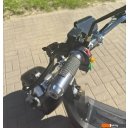 Электросамокаты и электроскутеры Smart Balance X11 Trike 2024 (черный)