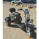 Электросамокаты и электроскутеры Smart Balance X11 Trike 2024 (черный)