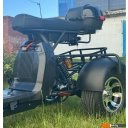 Электросамокаты и электроскутеры Smart Balance X11 Trike 2024 (черный)