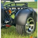 Электросамокаты и электроскутеры Smart Balance X11 Trike 2024 (черный)