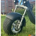 Электросамокаты и электроскутеры Smart Balance X11 Trike 2024 (черный)