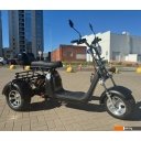 Электросамокаты и электроскутеры Smart Balance X11 Trike 2024 (черный)