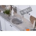 Кухонные мойки Polygran Bond 480 (платина) Кухонные мойки Polygran Bond 480 (платина)