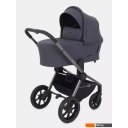 Детские коляски и аксессуары Rant Flex Pro 2023 RA075 (3 в 1, graphite) Детские коляски и аксессуары Rant Flex Pro 2023 RA075 (3 в 1, graphite)