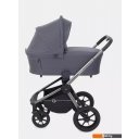 Детские коляски и аксессуары Rant Flex Pro 2023 RA075 (3 в 1, graphite) Детские коляски и аксессуары Rant Flex Pro 2023 RA075 (3 в 1, graphite)