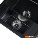 Кухонные мойки Wisent 580-26WQ (с сифоном GER011)