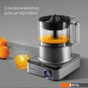 Кухонные комбайны, машины и планетарные миксеры Redmond (Редмонд) FP608 (серый)