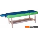 Массажеры и массажные кресла DFC Nirvana Superior TS200 (бирюзовый)