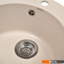 Кухонные мойки Wisent 480-30WR (с сифоном GER013)