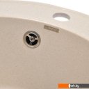 Кухонные мойки Wisent 480-30WR (с сифоном GER013)