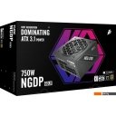 Блоки питания 1stPlayer NGDP Gold 750W HA-750BA4