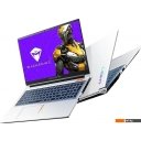 Ноутбуки Machenike Aurora Stellar JJ00G900GRU