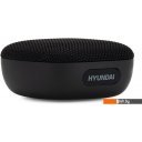 Беспроводные и портативные колонки Hyundai H-PS1010