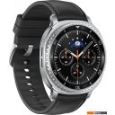 Умные часы и браслеты Samsung Galaxy Watch8 Classic 46 мм LTE (серебристый/черный)