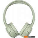 Наушники и гарнитуры Honor Choice VZ Headphones Lite (зеленый)