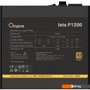 Блоки питания Ocypus Iota P1200 Iota-P1200-G1FFBK024X-EU