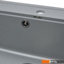 Кухонные мойки Wisent 600-29W (с сифоном GER013)