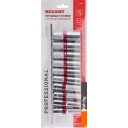 Биты, головки, насадки, держатели Rexant 12-8308 (10 предметов)