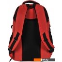 Рюкзаки Paso 22-30060OG