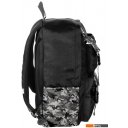 Рюкзаки Paso BU22MR-2702