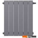 Радиаторы отопления Royal Thermo PianoForte 500 VDR Silver Satin (6 секций)