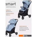 Детские коляски и аксессуары Rant Mowbaby Smart MB101 2023 (blue)