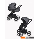 Детские коляски и аксессуары Riko Basic Delta (3 в 1, 05/carbon) Детские коляски и аксессуары Riko Basic Delta (3 в 1, 05/carbon)