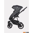 Детские коляски и аксессуары Riko Basic Leon (2 в 1, 04 черный) Детские коляски и аксессуары Riko Basic Leon (2 в 1, 04 черный)